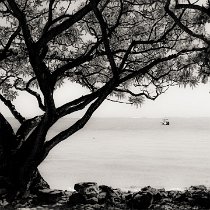 DSL 0931 ND610-7