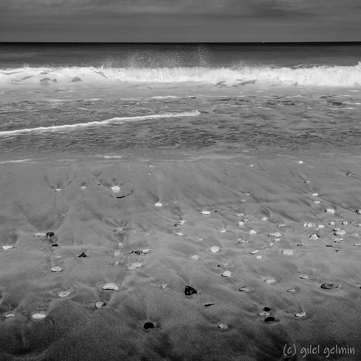 DSL 0869 ND610-NB web