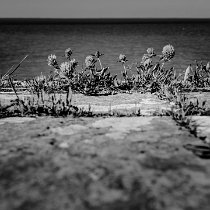 DSL 0750 ND610-NB web