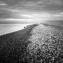 baie de Somme